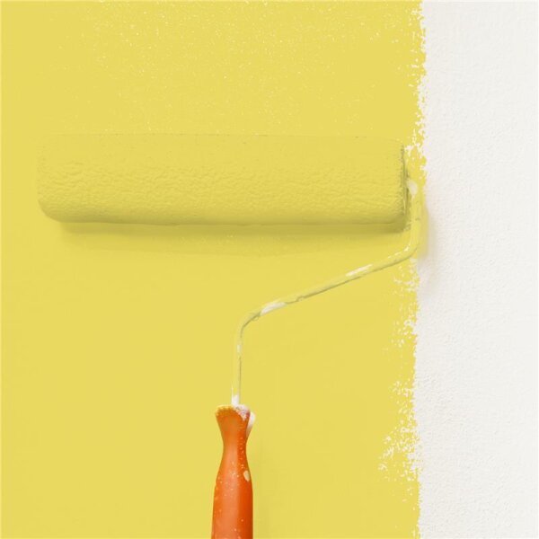 Wandfarbe Matt NCS-S-1050-G90Y WALLCOVER Colors