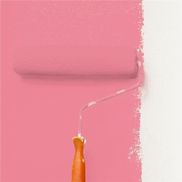 Wandfarbe Matt NCS-S-1050-R10B WALLCOVER Colors