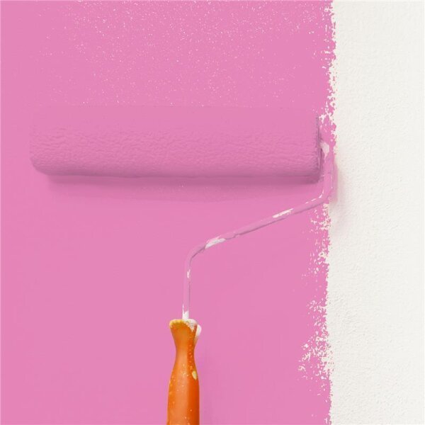 Wandfarbe Matt NCS-S-1050-R30B WALLCOVER Colors