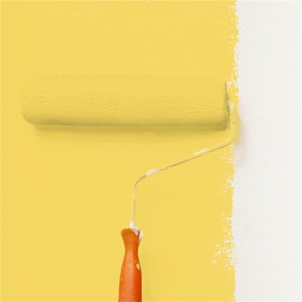Wandfarbe Matt NCS-S-1050-Y WALLCOVER Colors