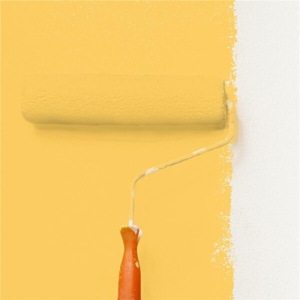 Wandfarbe Matt NCS-S-1050-Y10R WALLCOVER Colors