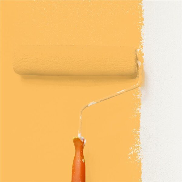 Wandfarbe Matt NCS-S-1050-Y20R WALLCOVER Colors
