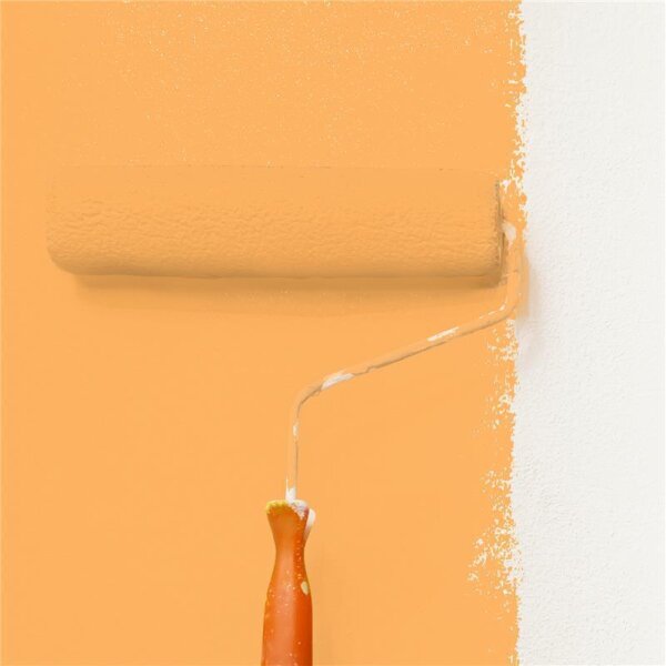 Wandfarbe Matt NCS-S-1050-Y30R WALLCOVER Colors