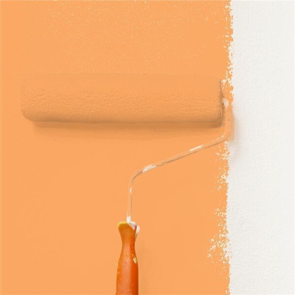 Wandfarbe Matt NCS-S-1050-Y40R WALLCOVER Colors