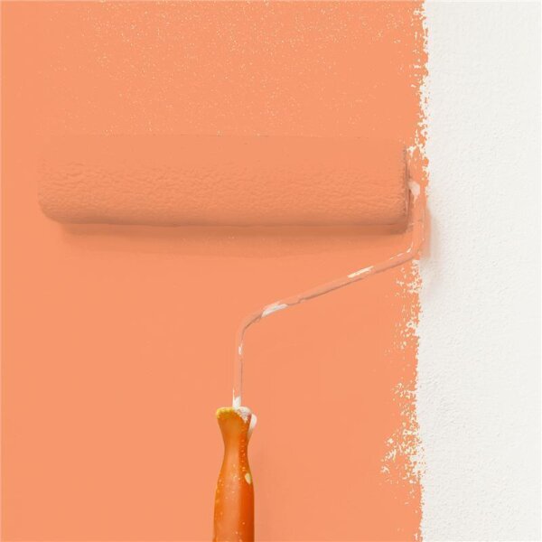 Wandfarbe Matt NCS-S-1050-Y60R WALLCOVER Colors