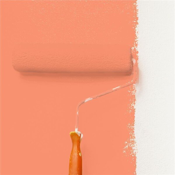 Wandfarbe Matt NCS-S-1050-Y70R WALLCOVER Colors
