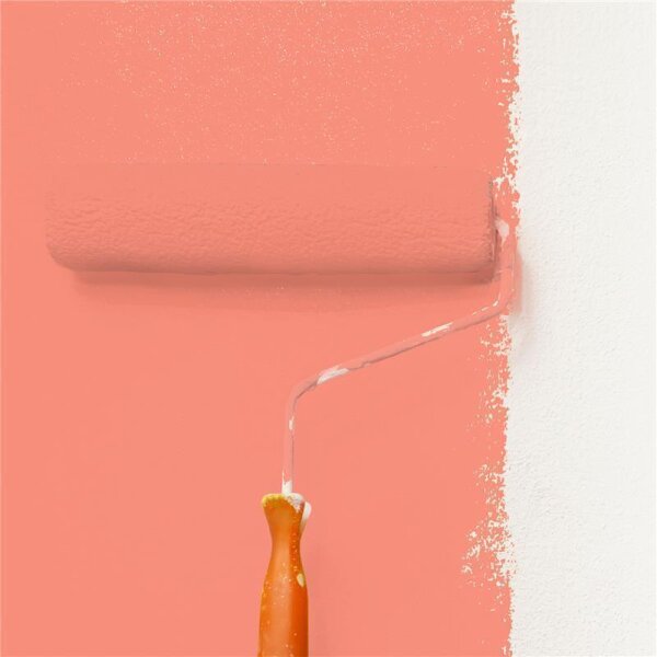 Wandfarbe Matt NCS-S-1050-Y80R WALLCOVER Colors