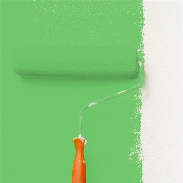Wandfarbe Matt NCS-S-1060-G20Y WALLCOVER Colors