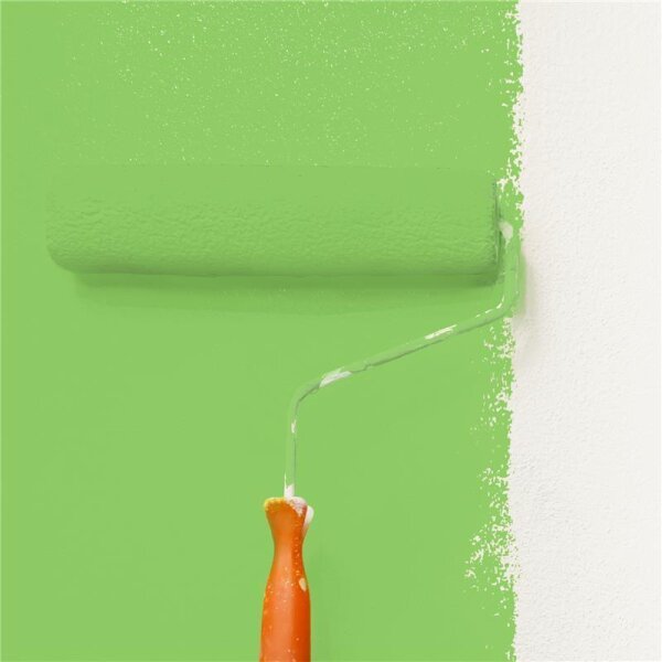 Wandfarbe Matt NCS-S-1060-G30Y WALLCOVER Colors