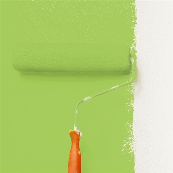 Wandfarbe Matt NCS-S-1060-G40Y WALLCOVER Colors