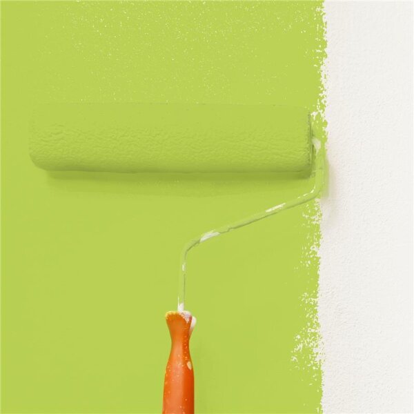 Wandfarbe Matt NCS-S-1060-G50Y WALLCOVER Colors