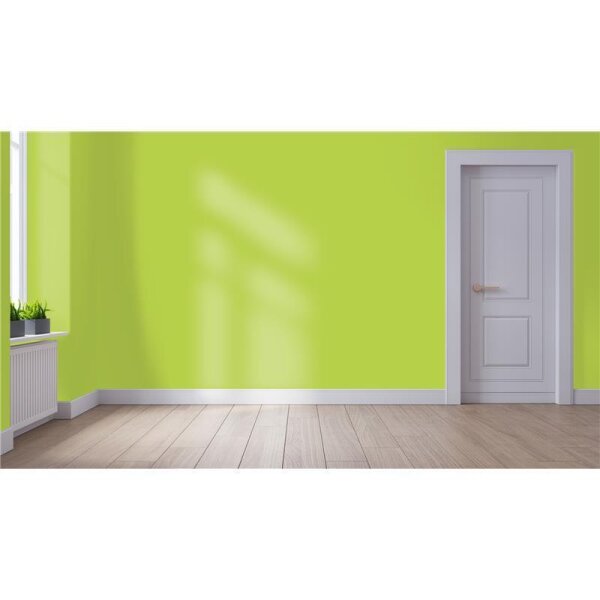 Wandfarbe Matt NCS-S-1060-G50Y WALLCOVER Colors