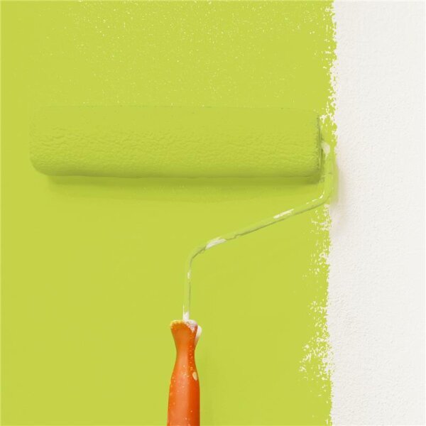 Wandfarbe Matt NCS-S-1060-G60Y WALLCOVER Colors