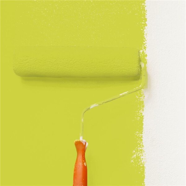 Wandfarbe Matt NCS-S-1060-G70Y WALLCOVER Colors