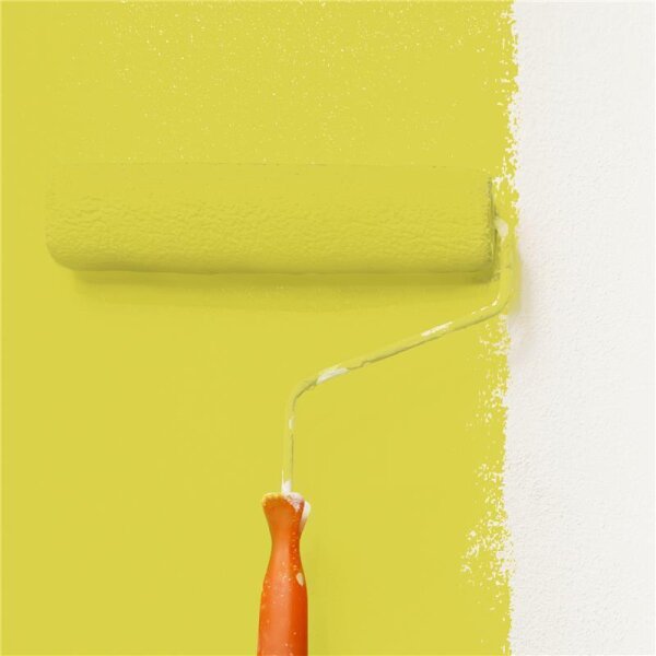 Wandfarbe Matt NCS-S-1060-G80Y WALLCOVER Colors