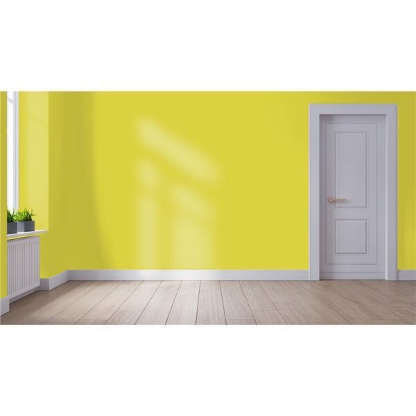 Wandfarbe Matt NCS-S-1060-G80Y WALLCOVER Colors