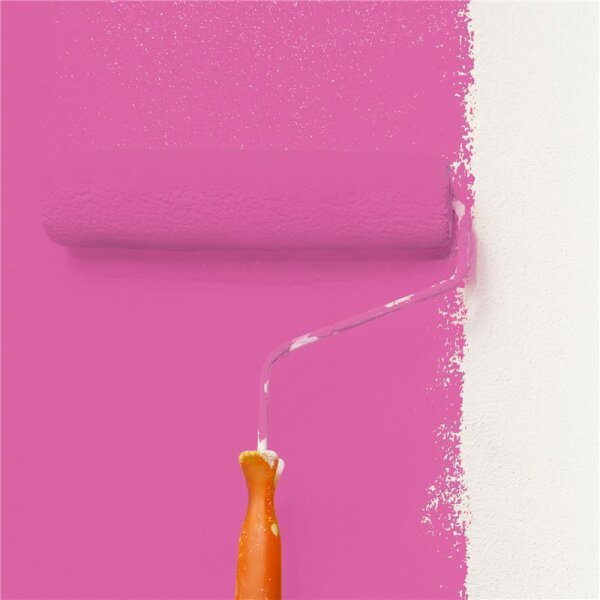 Wandfarbe Matt NCS-S-1060-R30B WALLCOVER Colors