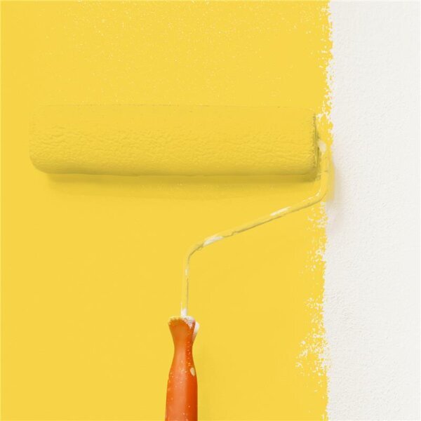 Wandfarbe Matt NCS-S-1060-Y WALLCOVER Colors