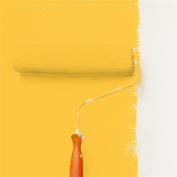 Wandfarbe Matt NCS-S-1060-Y10R WALLCOVER Colors