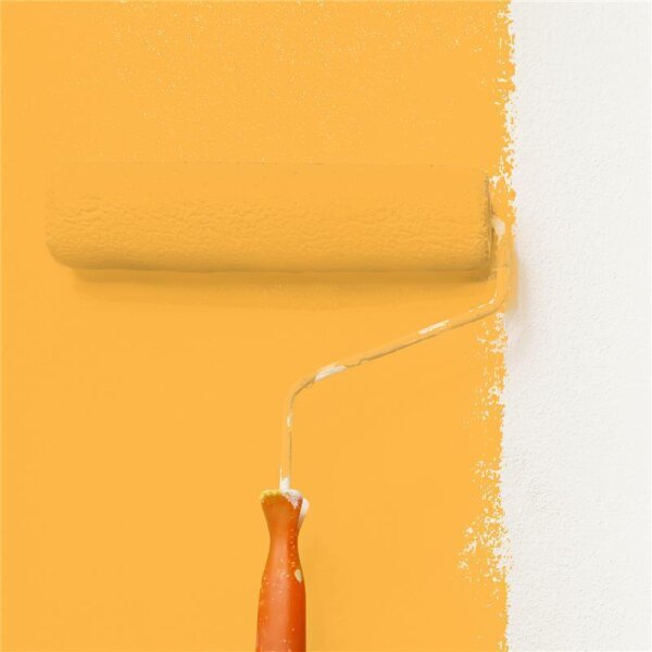Wandfarbe Matt NCS-S-1060-Y20R WALLCOVER Colors