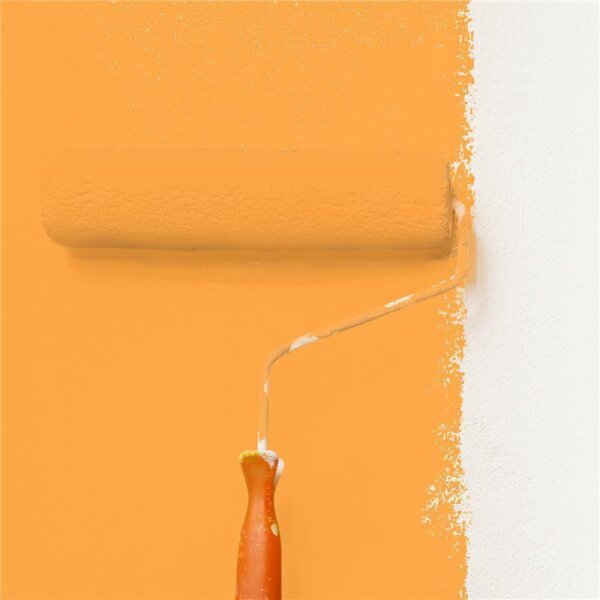 Wandfarbe Matt NCS-S-1060-Y30R WALLCOVER Colors