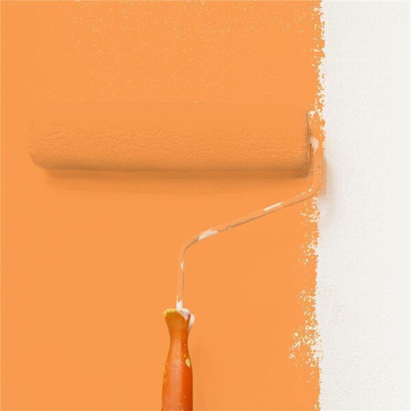 Wandfarbe Matt NCS-S-1060-Y40R WALLCOVER Colors