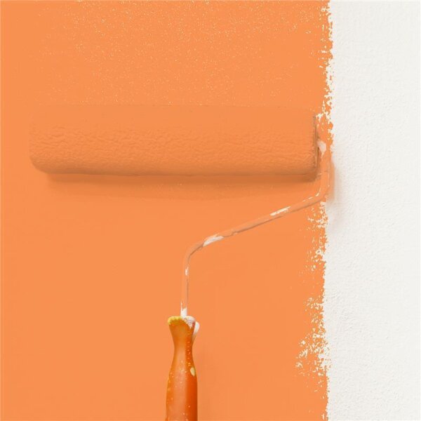 Wandfarbe Matt NCS-S-1060-Y50R WALLCOVER Colors