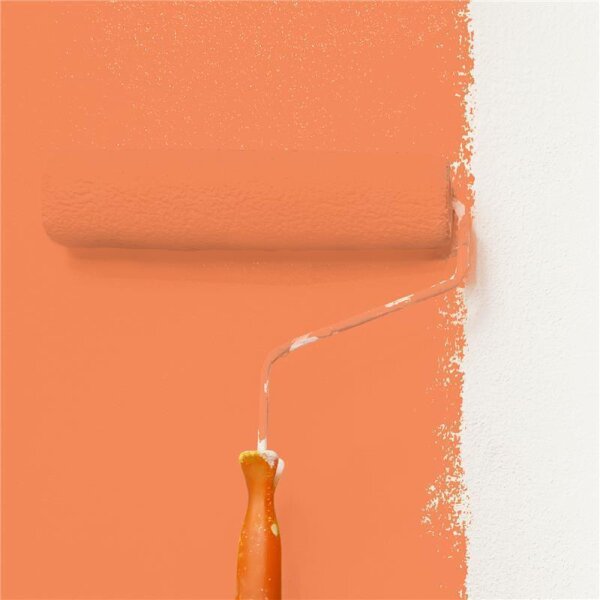 Wandfarbe Matt NCS-S-1060-Y60R WALLCOVER Colors