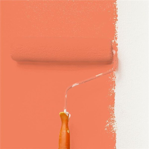 Wandfarbe Matt NCS-S-1060-Y70R WALLCOVER Colors