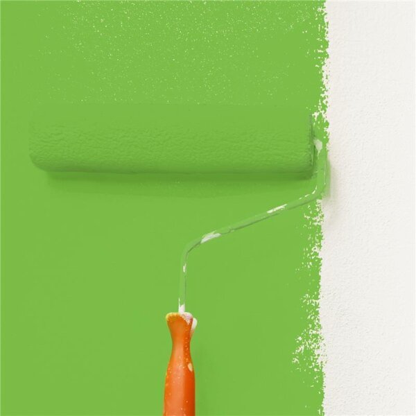 Wandfarbe Matt NCS-S-1070-G30Y WALLCOVER Colors