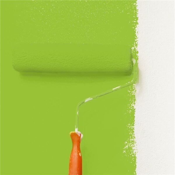 Wandfarbe Matt NCS-S-1070-G40Y WALLCOVER Colors