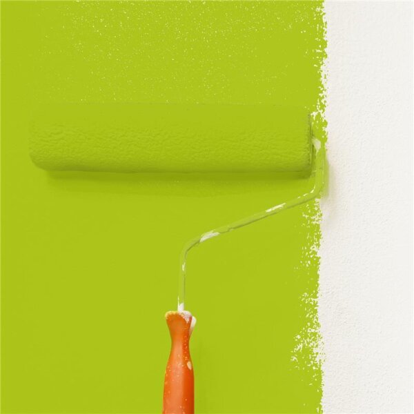 Wandfarbe Matt NCS-S-1070-G50Y WALLCOVER Colors