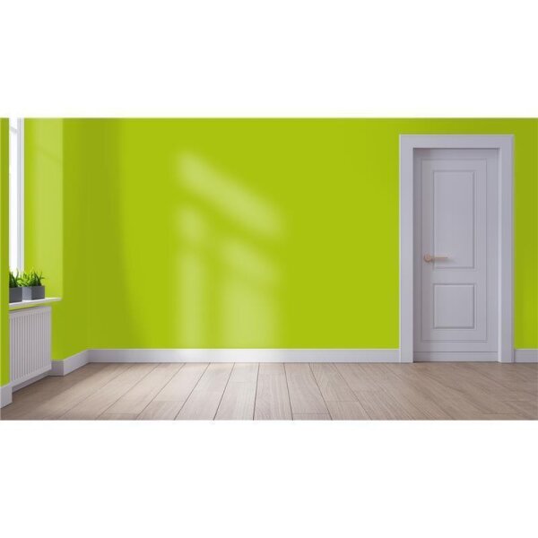 Wandfarbe Matt NCS-S-1070-G50Y WALLCOVER Colors