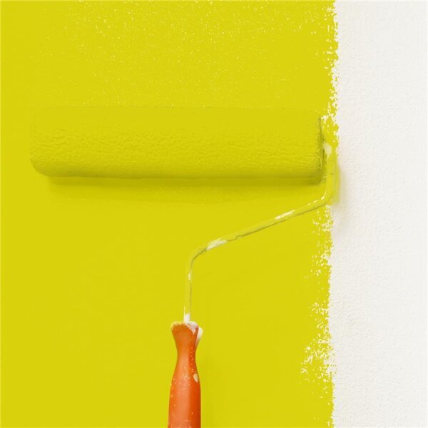 Wandfarbe Matt NCS-S-1070-G80Y WALLCOVER Colors