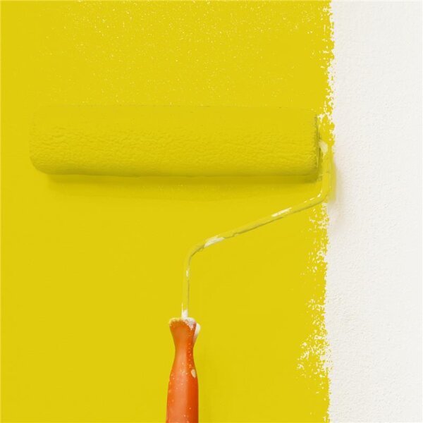 Wandfarbe Matt NCS-S-1070-G90Y WALLCOVER Colors