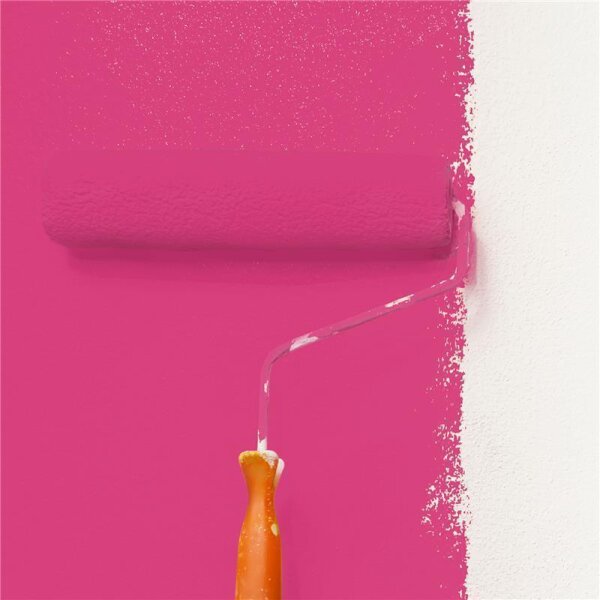 Wandfarbe Matt NCS-S-1070-R20B WALLCOVER Colors