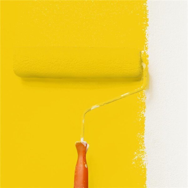 Wandfarbe Matt NCS-S-1070-Y WALLCOVER Colors