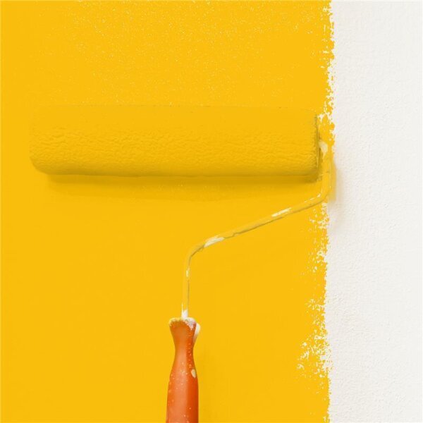 Wandfarbe Matt NCS-S-1070-Y10R WALLCOVER Colors