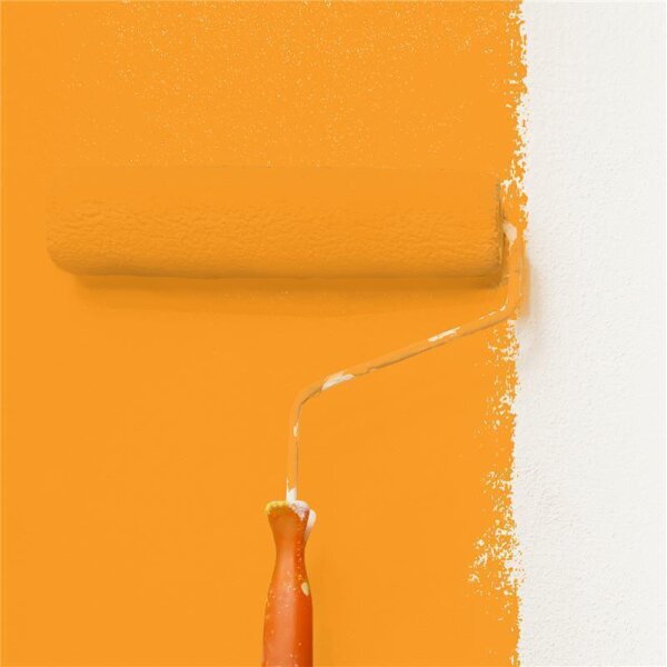 Wandfarbe Matt NCS-S-1070-Y30R WALLCOVER Colors