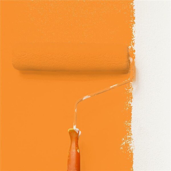 Wandfarbe Matt NCS-S-1070-Y40R WALLCOVER Colors