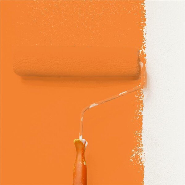 Wandfarbe Matt NCS-S-1070-Y50R WALLCOVER Colors