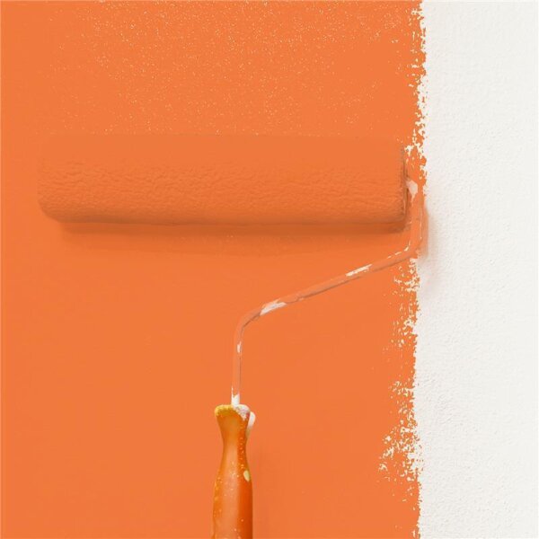 Wandfarbe Matt NCS-S-1070-Y60R WALLCOVER Colors
