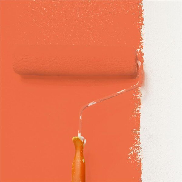 Wandfarbe Matt NCS-S-1070-Y70R WALLCOVER Colors