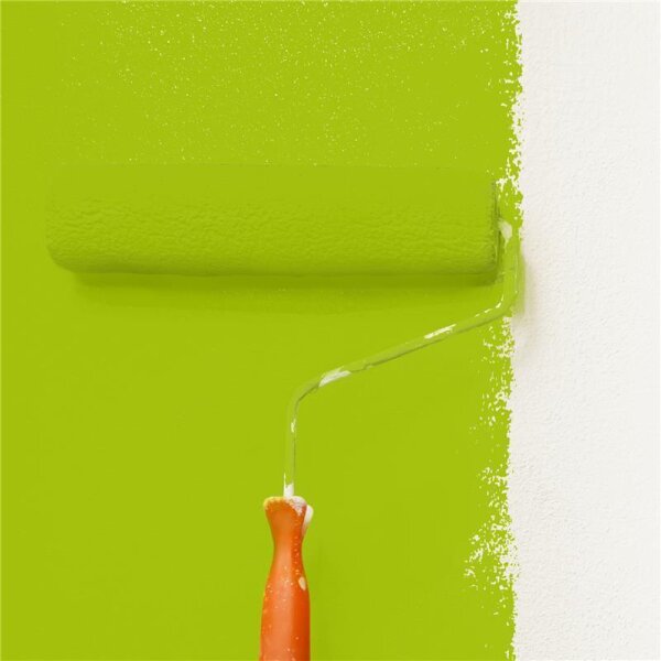 Wandfarbe Matt NCS-S-1075-G50Y WALLCOVER Colors