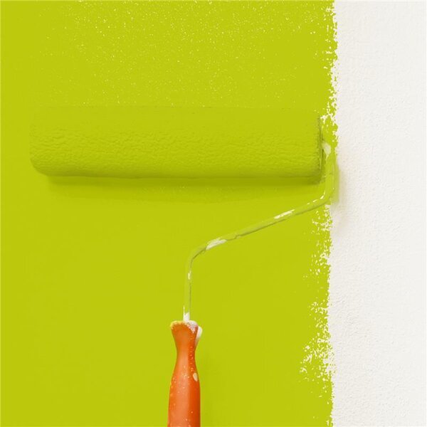 Wandfarbe Matt NCS-S-1075-G60Y WALLCOVER Colors