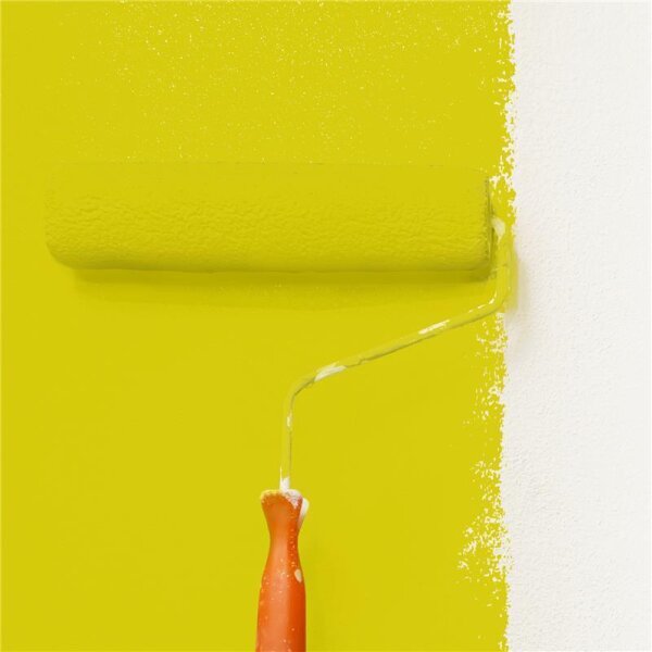 Wandfarbe Matt NCS-S-1075-G80Y WALLCOVER Colors