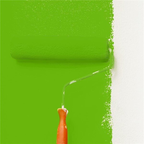 Wandfarbe Matt NCS-S-1080-G30Y WALLCOVER Colors