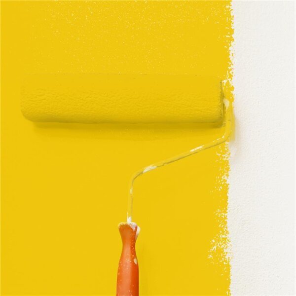 Wandfarbe Matt NCS-S-1080-Y WALLCOVER Colors