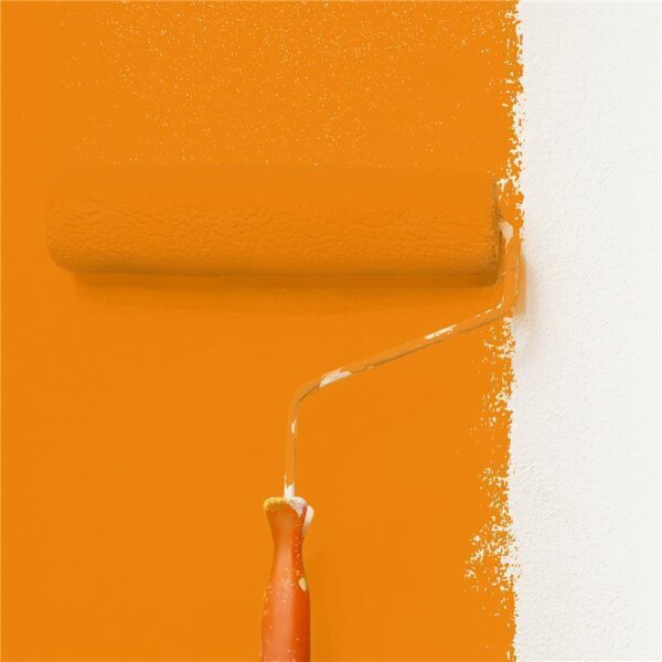 Wandfarbe Matt NCS-S-1080-Y40R WALLCOVER Colors