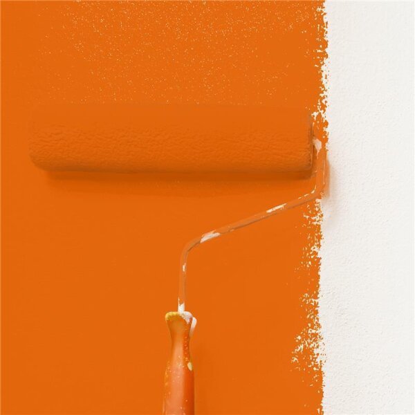 Wandfarbe Matt NCS-S-1080-Y60R WALLCOVER Colors